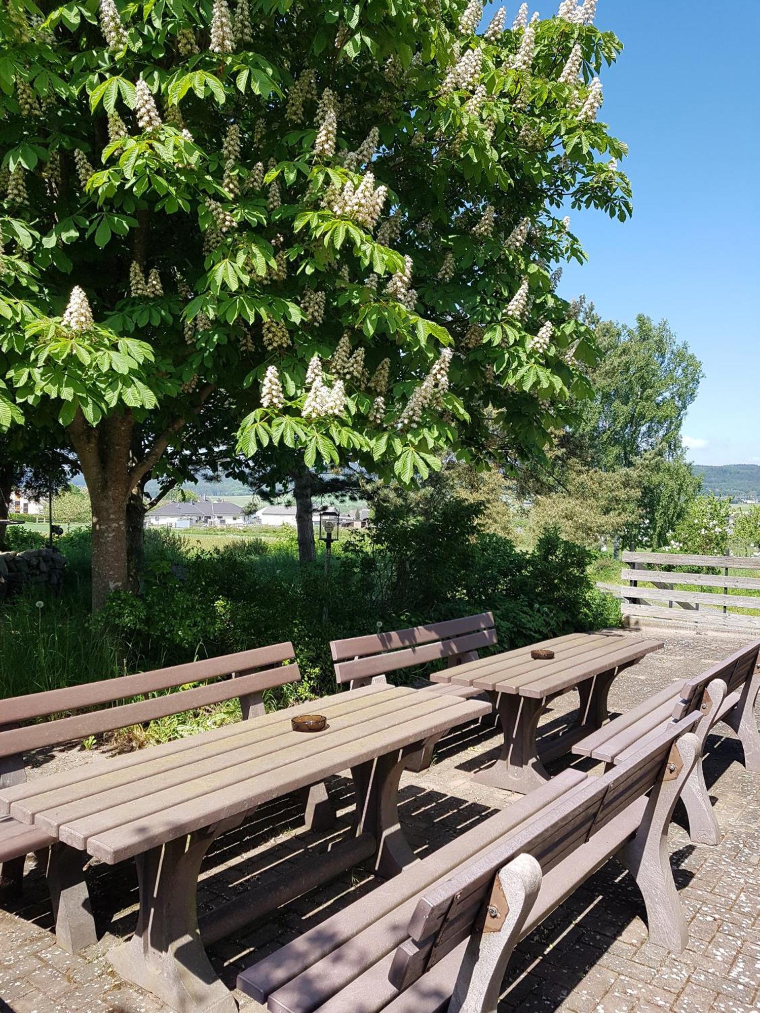 Hotel Wildenburger Hof Kempfeld Bagian luar foto