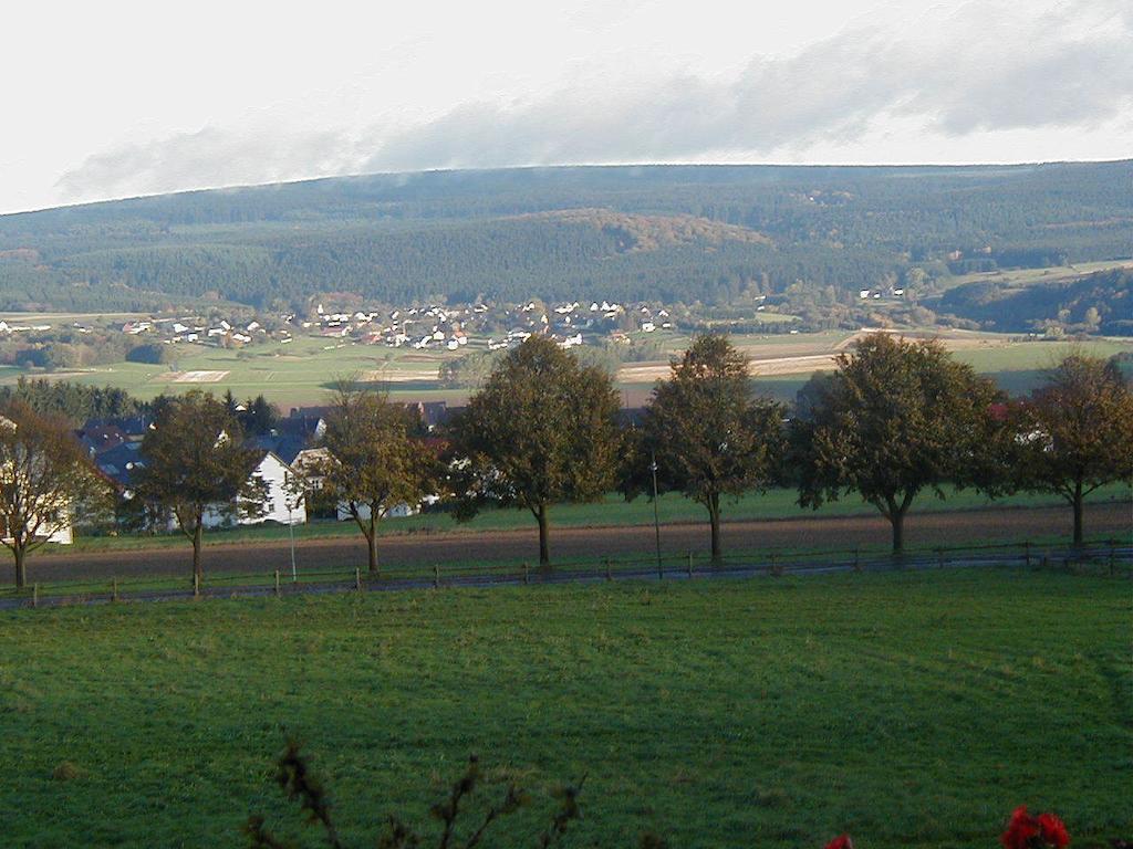 Hotel Wildenburger Hof Kempfeld Bagian luar foto