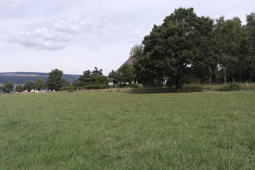 Hotel Wildenburger Hof Kempfeld Bagian luar foto